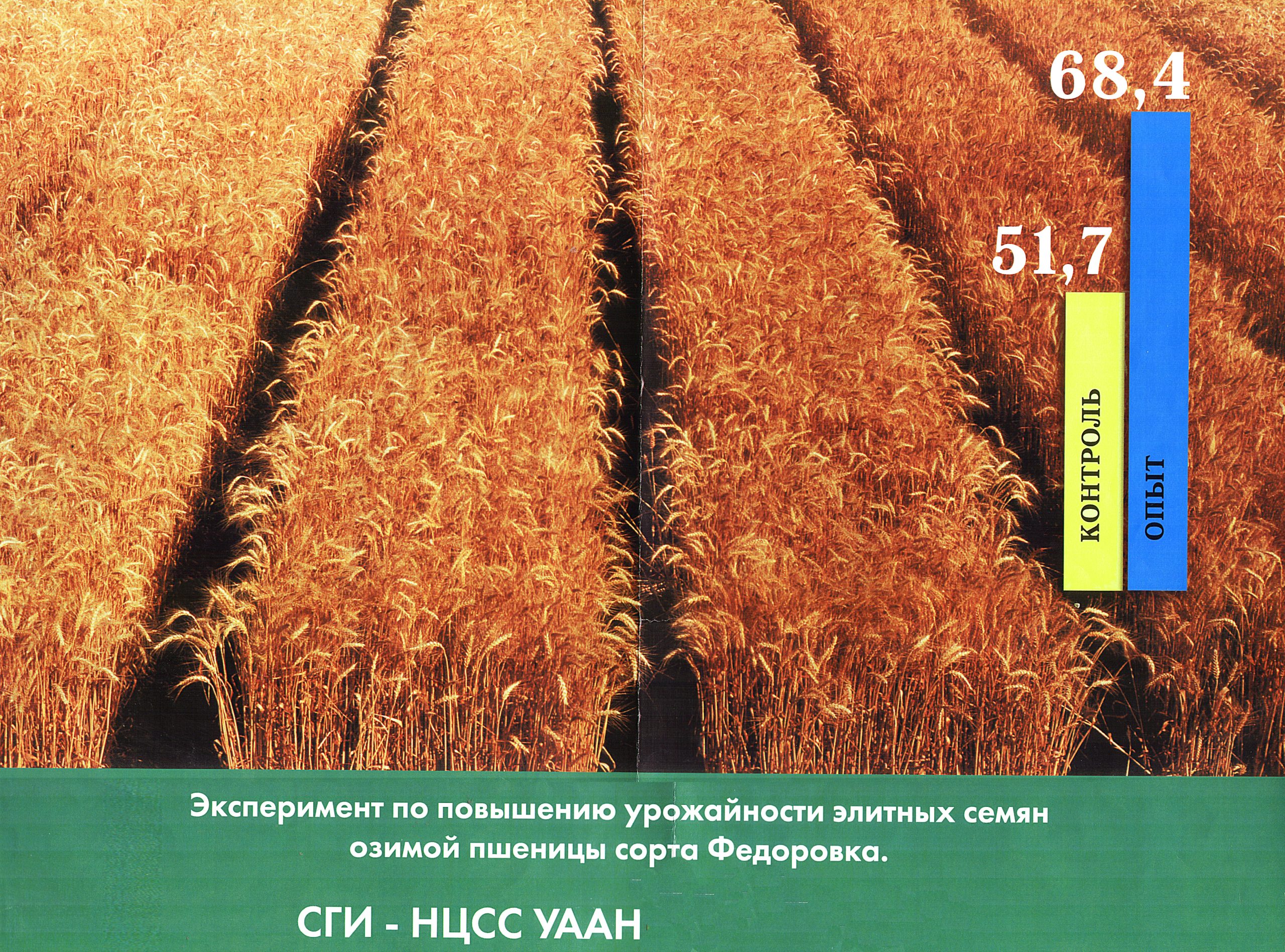 Результаты эксперимента по влиянию МВ поля на пшеницу сорта Федоровка. Увеличение урожайности